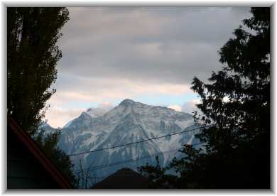 Mount Cheam from the back yard